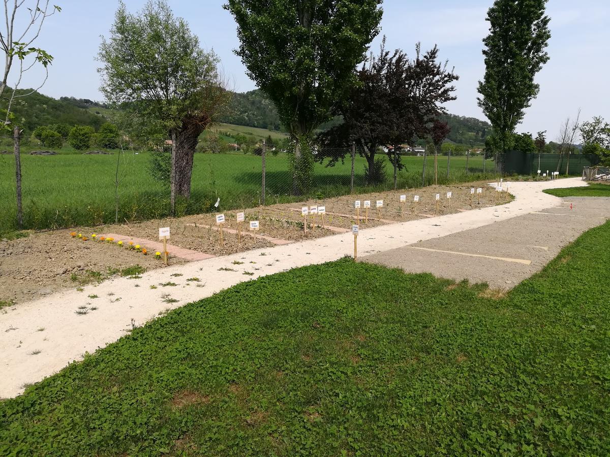 Вілла Casa In Campagna Torreglia Екстер'єр фото